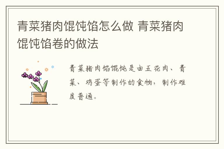 青菜豬肉餛飩餡怎么做 青菜豬肉餛飩餡卷的做法