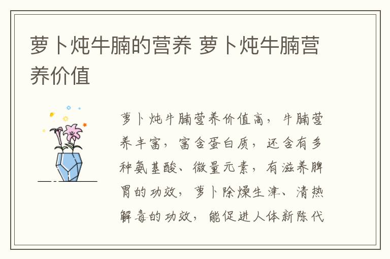蘿卜燉牛腩的營(yíng)養(yǎng) 蘿卜燉牛腩營(yíng)養(yǎng)價(jià)值
