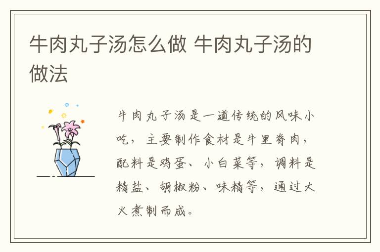 牛肉丸子湯怎么做 牛肉丸子湯的做法