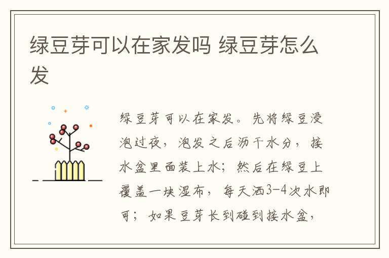 綠豆芽可以在家發(fā)嗎 綠豆芽怎么發(fā)